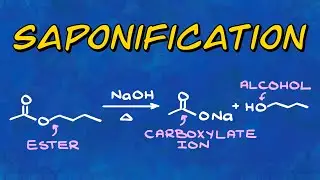 Saponification Reaction of Esters
