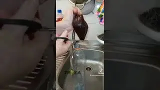 Аналог пепси колы, открываем варенье (со звуком)