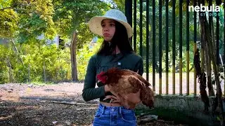 Jovencita se llevaba las gallinas de sus vecinas, hasta que pas&oacute; esto
