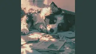 Lazy Mornings