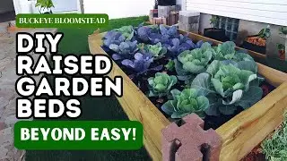 DIY Raised Garden Beds Beyond Easy