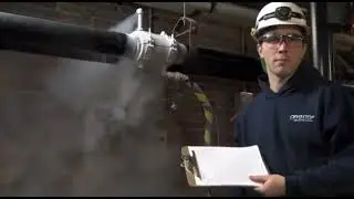 The 