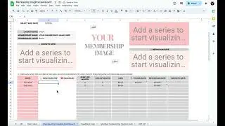 Membership Insight Dashboard Walkthrough