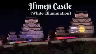 Magical Himeji Castle at Night| Shiro no Hikari ( White Illumination)