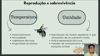 Minicurso: Ecologia de Insetos