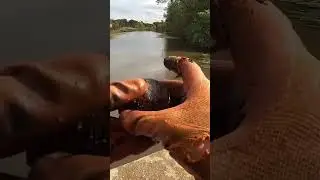 Cannon Ball Found Magnet Fishing? #magnetfishing #cleanrivers #tresurehunting #magnet #magnets