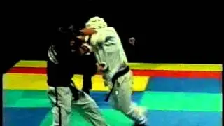 Brian Mckeel vs Manny Reyes Jr Lightweight Final 1998 Empire State Nationals Karate Tournament