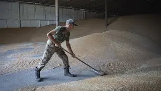 MEPs spar over EU bans on Ukrainian grain as deadline for extension looms