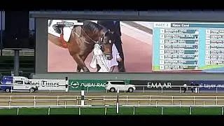 DUBAI PUBLIC TV 🇦🇪 MEYDAN HORSE RACING 🐎 #dubai #viralvideo #like #subscribe