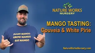 Mango Tasting - Gouveia and White Pirie