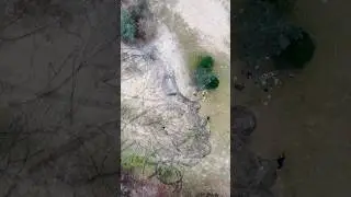 Nature art