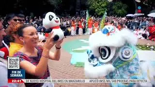Festejan los 35 años de Xin Xin, el único ejemplar de oso panda en Latinoamérica | Imagen Noticias