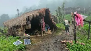 This is Himalayan Village During the Heavy Rainy Season | Daily Activities People in Village Life