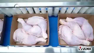 Sustainable Flow Pack packaging for chicken cut-ups with cardboard tray - ULMA Packaging