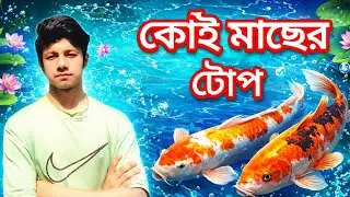 কই মাছের শেরা টোপ বানানোর পদ্ধতি /koi maeher Banano 229k views 