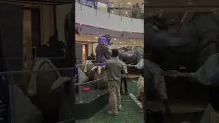 Nexus mall entrance attraction|alien vs monster |free of cost |children enjoy the idiols #nexusmall
