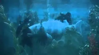 Exclusive look Disneyland divers working underwater - 2011-01-26