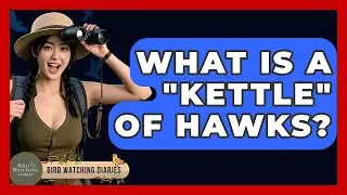 What Is A 