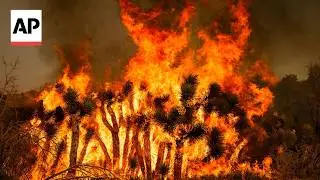Wildfires are becoming more severe and exceeding what forests can handle