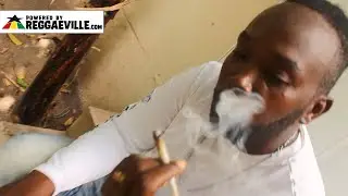 Tearah - Sativa High [Official Video 2025]