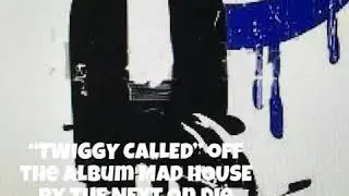 &ldquo;TWIGGY CALLED&rdquo; off the album MAD HOUSE by THE NEXT on Die Laughing Records