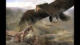 Argentavis Sounds