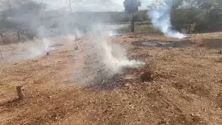 PREPARANDO A TERRA PRA PLANTAR NA ROÇA 