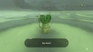 Revenge of the Koroks TOTK