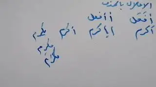 محاضره الصرف العربي ١٠