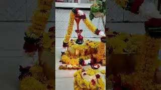 ❣️❣️❣️🪔🪔 Mayank Patel official 💕😍#mpo