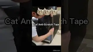 The Ultimate Solution for Pet Owners: Cat Anti-Scratch Tape!