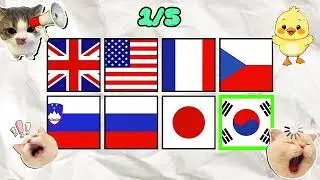 Say the word on beat | Levels Easy Medium & Hard | Interactive challenge
