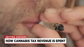 Getting Answers: where does the state&rsquo;s marijuana tax revenue go?