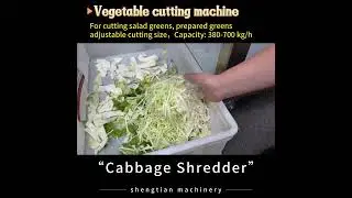 ST-S301 Cabbage Cutting Machine #vegetablecutter #foodprocessing #vegetableprocessing