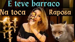 A chapa ESQUENTOU na toca da RAPOSA 🦊 no final de semana. O ser AMADO quer sair dessa situação.