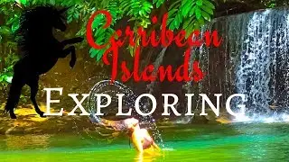 The Explorer Experience | RandomAF | Island Hopping!?!? -Benny Blanco