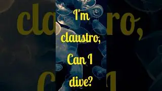 Claustrophobic? Can You Still Dive? 🤔 | Talk to the Fish #scubadiving #scuba #tryscuba #whatisscuba
