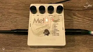 Strings Test - Electro Harmonix MEL9 Tape Replay Machine