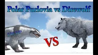 POLAR PURLOVIA vs DIREWOLF and Polarbear || ARK: Survival Evolved || Cantex