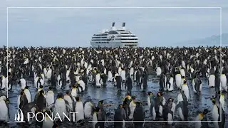A journey to the edges of the Antarctic