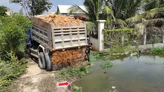 Be Quick Started Landfill at Flooded Area by D20P Dozer & Trucks Dumping Land Stone