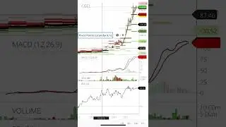 Capri global capital ltd share news Capri global capital ltd share Capri global capital ltd analysis