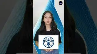 FAO Internship Program 2025 | Paid UN Internship Opportunity! #studyabroadscholarships