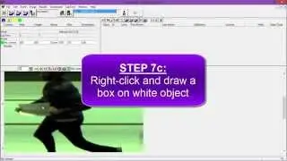 Tutorial: Adjust EtherLynx Camera Settings & White Balance Image