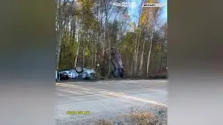 Ралли 