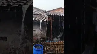 Close your eyes and listen 🌧️Rain around the house ASMR for sleep.