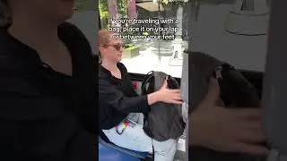 How to Ride a CTA Bus