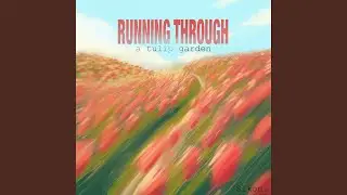 Runing Trough a Tulip Garden