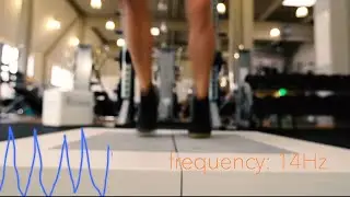 Performance Analysis // CONTEMPLAS&reg;