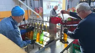 La fabrication du jus de pomme chez les arboriculteurs de Neunkirch